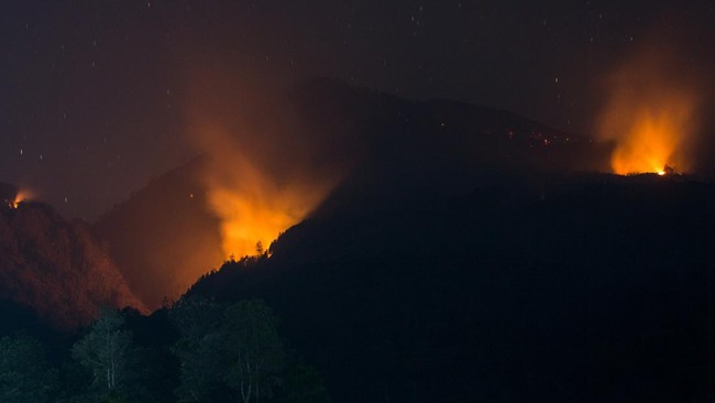 Kepala Pelaksana BPBD Kabupaten Karangasem menerangkan luas hutan lindung yang terbakar sekitar 104 hektare.