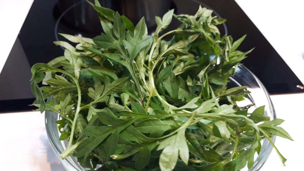 Jarang Diketahui, Ini 6 Manfaat Rebusan Daun Kenikir bagi Kesehatan