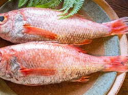 Ini Nodoguro, Ikan Termahal di Korea yang Harganya Rp 300 Ribu Seekor!