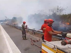 Marak Kasus Kebakaran Lahan di Tol Lampung, Penyebab Ulah Manusia