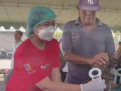 Cegah Penyebaran Rabies, Anjing di Denpasar Dipasang Micro Chip
