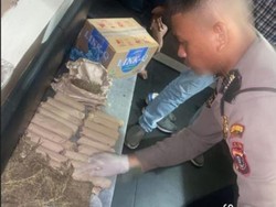 23 Bungkus Ganja Ditemukan dalam Tas Tergeletak di Kanal Medan, Polisi Selidiki
