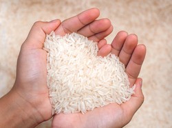 Ternyata RI Jadi Produsen Telur & Beras Terbesar di Dunia