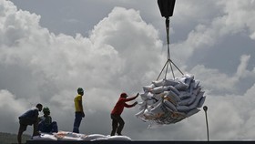 Atasi Kelangkaan, Pemerintah Perintahkan Bulog Percepat Impor Beras