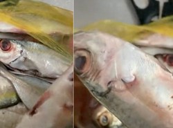 Duh! Beli Ikan di Pasar, Wanita Ini Diberi Ikan Busuk Oleh Penjualnya