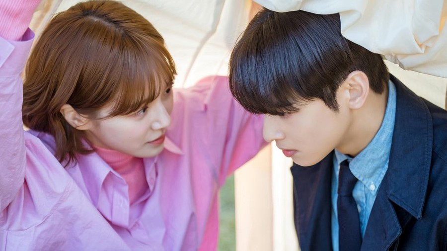 Drama Korea A Good Day to Be a Dog Drama Korea A Good Day to Be a Dog