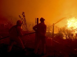 Api Unggun untuk Bikin Kopi Diduga Picu Kebakaran Hutan Argentina