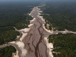 Pakar IPB: Hutan Amazon di Ambang Kehancuran, Pelajaran buat RI