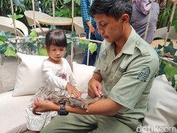 Taman Safari Prigen Siapkan Event dan Promo Akhir Tahun, Apa Saja?