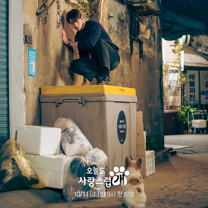 <p>Dalam salah satu adegan <em>A Good Day to Be a Dog</em>, sepertinya Jin Seo-won sangat takut dengan anjing. Pasalnya, di foto ini, ia bahkan sampai memanjat tempat sampah hanya demi menghindari seekor anjing Shih Tzu yang menggemaskan sekali. (Foto: Instagram @mbcdrama_now)</p>