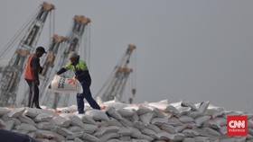 Pemerintah Buka Peluang Impor 2 Juta Ton Beras dari Thailand