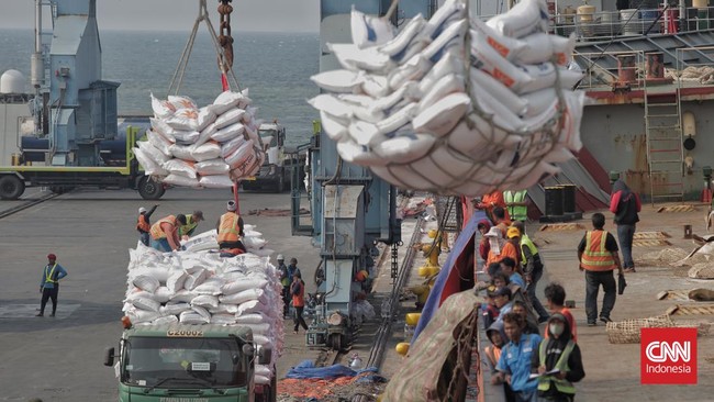 BPS mencatat Indonesia telah mengimpor beras sebanyak 2,53 juta ton hingga November 2023. Mayoritas berasal dari Thailand.