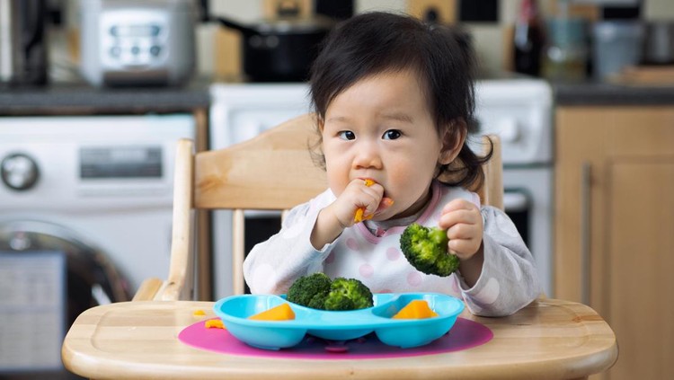 Ilustrasi Aturan Pemberian Makan Anak