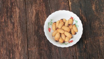 KANDUNGAN NUTRISI DI ULAT SAGU
