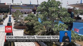 VIDEO: Bonsai Meriahkan Festival Tanaman Hias Tropis