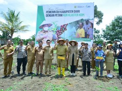 Langkah Strategi Bupati Dairi Dongkrak Produksi Kopi Sidikalang