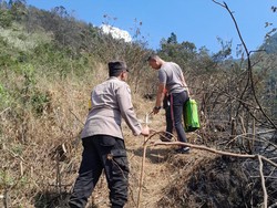Polisi-Relawan Sisir Titik Api Gunung Ungaran, Kebakaran Dipastikan Padam