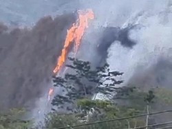Gunung Kobar Banjarnegara Terbakar