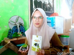 Menuai Berkah Mangrove di Pasir Putih