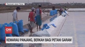 VIDEO: Kemarau Panjang, Berkah Bagi Petani Garam