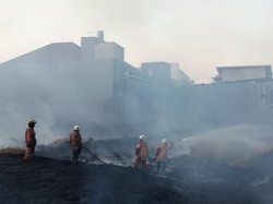 Pemkot Surabaya Antisipasi Kebakaran Lahan saat Kemarau