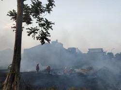 Fakta-fakta Kebakaran Lahan Kosong di Kawasan Sukolilo Surabaya