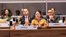 Puan Protes Joint Statement Sidang P20 Tak Singgung soal Palestina
