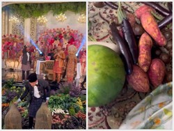 Heboh Pesta Nikah Mirip Suasana Pasar, Tamu Rebutan Sayur dan Buah