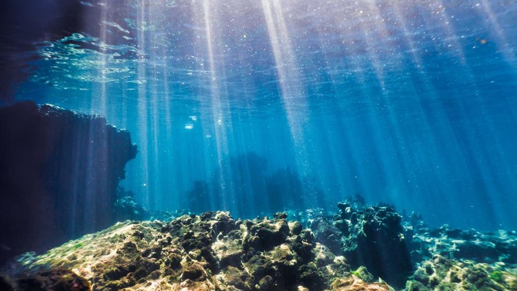 Ilustrasi bawah laut