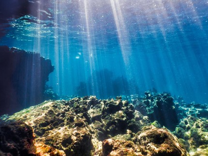 Sebesar Apa Ikan Nun yang Disebut Menelan Nabi Yunus? Ini Penjelasannya