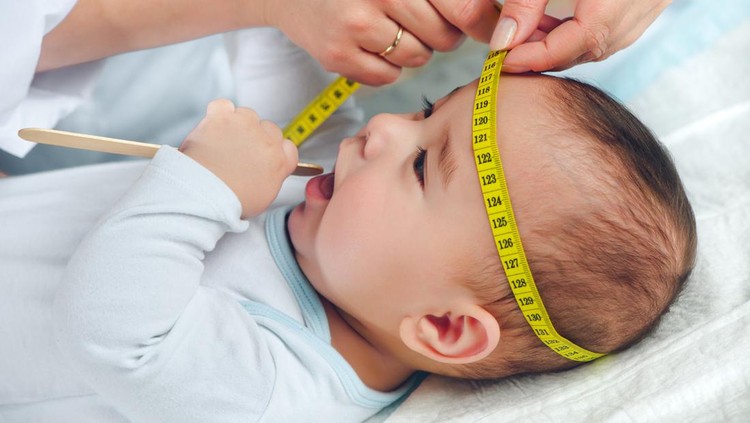 Ilustrasi Lingkar Kepala Bayi