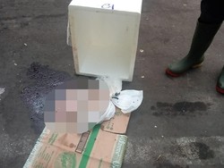 Datang ke Bali, Wanita Ini Melahirkan di Hotel dan Buang Bayi di Bandara