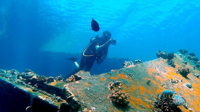 Ternyata Ini Penyebab Air Laut Memiliki Rasa Asin, Kamu Sudah Tahu?