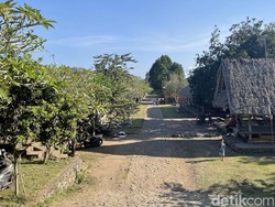 4 Keunikan Desa Tenganan Pegringsingan, Desa Kuno Bali Aga di Bali