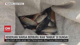 VIDEO: Warga Berburu Ikan Dan Kerang