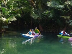 5 Destinasi Wisata Andalan di Tuban, Pemandian hingga Pantai