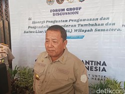 Reaksi Gubernur Lampung Ditanya soal Wagub Chusnunia Chalim Mundur