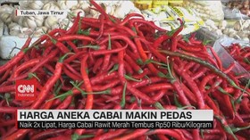 VIDEO: Harga Aneka Cabai Makin Pedas