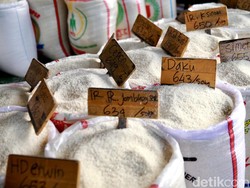Produksi Beras Januari-April Diperkirakan 13,95 Juta Ton, Tertinggi dalam 7 Tahun