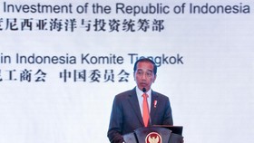 Jokowi Berbincang dan Foto Bersama Putin di China