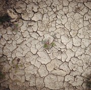 Siap-siap La Nina, BMKG Ungkap di Wilayah Ini 67 Hari Tak Turun Hujan