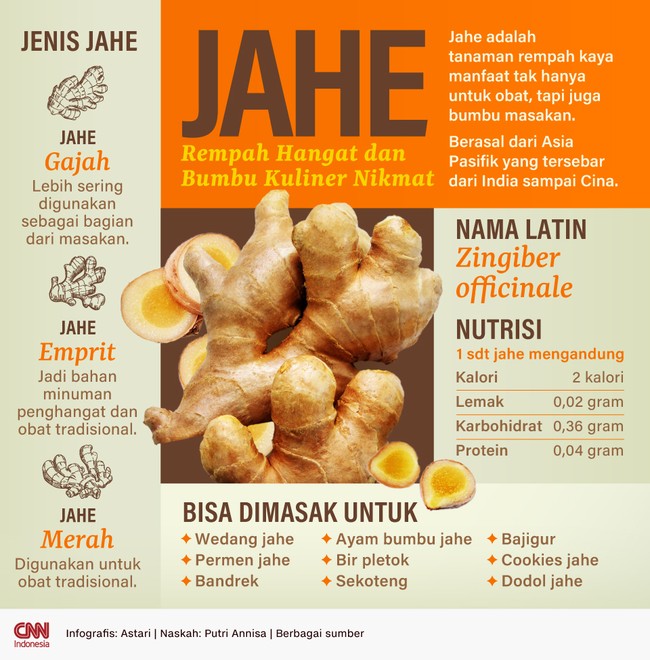 Jahe adalah tanaman rempah kaya manfaat tak hanya untuk obat, tapi juga bumbu masakan. Berasal dari Asia Pasifik yang tersebar dari India sampai Cina.