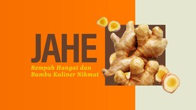 INFOGRAFIS: Jahe, Rempah Hangat dan Bumbu Kuliner Nikmat