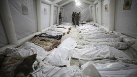 1.524 Anak Palestina Tewas Imbas Perang Hamas vs Israel