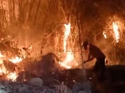 Hendak Padamkan Kebakaran Hutan, Warga Sidoharjo Wonogiri Tewas