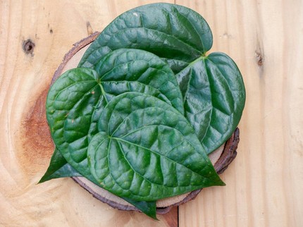 7 Daun yang Efektif Menghilangkan Bau Badan Tidak Sedap