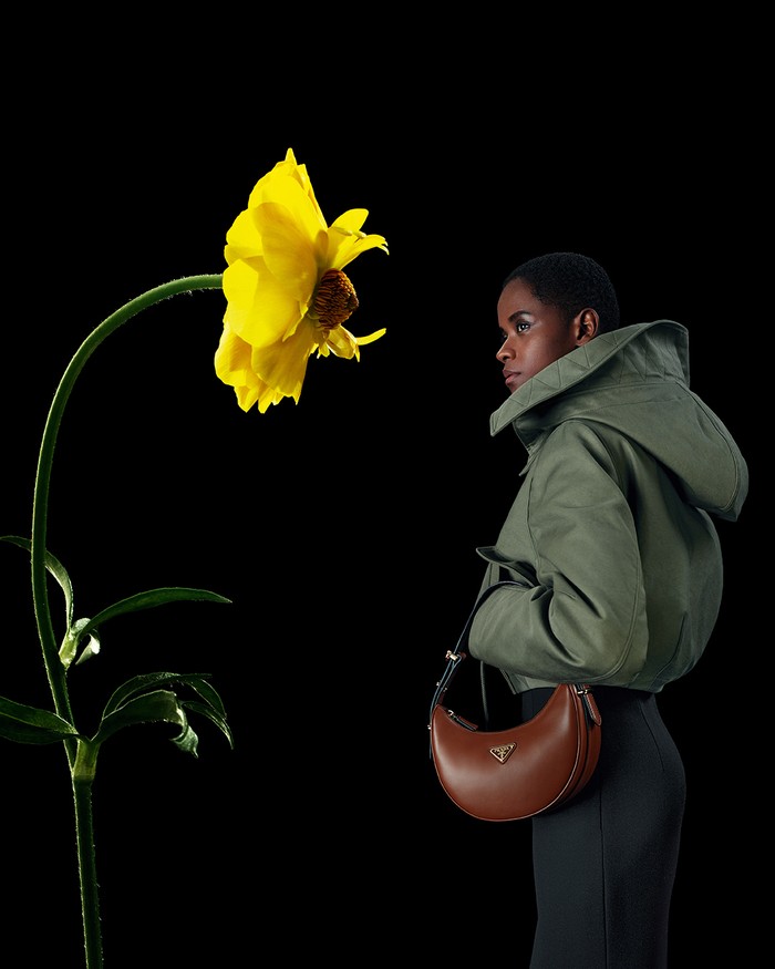 Prada Prada