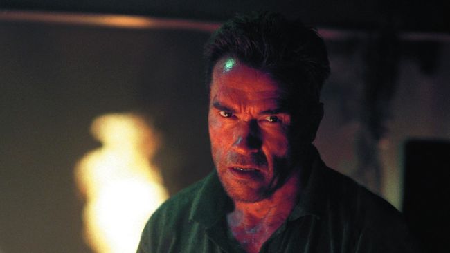 Jadwal Bioskop Trans TV hari ini (20 Oktober) Collateral Damage. Berikut sinopsis film Collateral Damage dibintangi Arnold Schwarzenegger. 