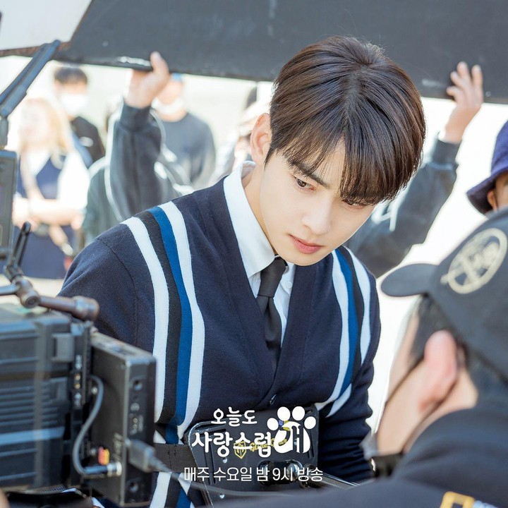<p>Tak jarang para penggemar penasaran dengan Behind The Scene drama Korea A Good to Be a Dog, Bunda. Terutama untuk melihat aktor favoritnya, Cha Eun Woo. (Foto: Instagram @mbcdrama_now)</p>