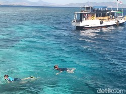 Warga Pulau Komodo Soroti Guide Tak Dampingi Turis Snorkeling